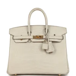 Birkin Beton Matte Alligator 25