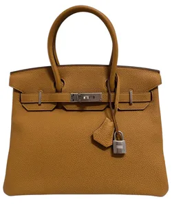 Birkin Caramel And Lime Togo Verso 30