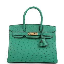 Birkin Hss Vert Vertigo Verso Ostrich 30