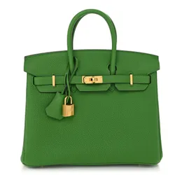 Birkin Vert Yucca Togo 25